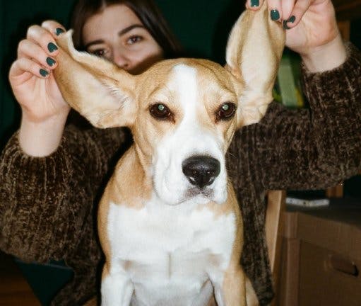 Rsz 1rsz Pexels Daria Sannikova 4084280