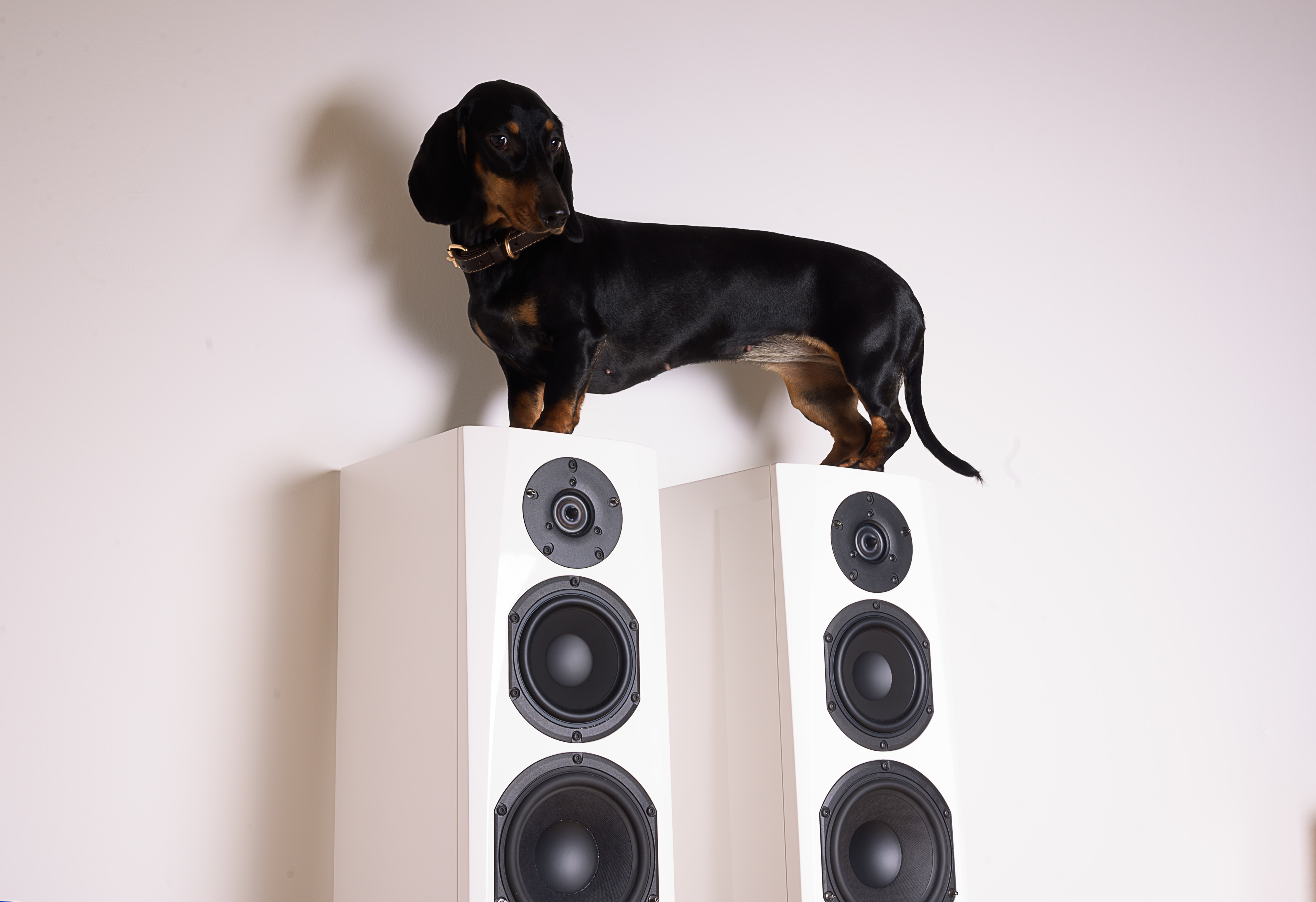 Do i need a subwoofer cheap for music